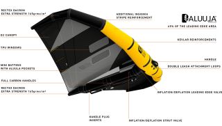 RRD EVO WING GOLD Y29